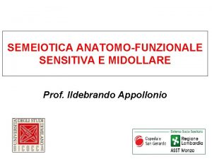 SEMEIOTICA ANATOMOFUNZIONALE SENSITIVA E MIDOLLARE Prof Ildebrando Appollonio