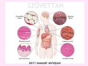 Masszr Masszr