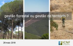 gesto florestal ou gesto do territrio 28 maio