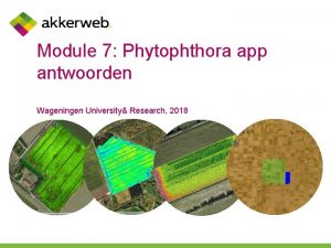 Module 7 Phytophthora app antwoorden Wageningen University Research