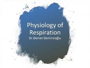 Physiology of Respiration Dr Demet Demirciolu Physiological Anatomyof
