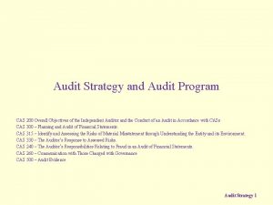 Audit Strategy and Audit Program CAS 200 Overall