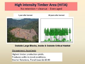 High intensity Timber Area HITA No retention clearcut