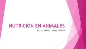 NUTRICIN EN ANIMALES LIC LUZ MERY DE LA