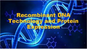 Recombinant DNA Technology and Protein Expression Dr Hilal