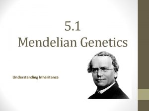 5 1 Mendelian Genetics Understanding Inheritance Genetics is