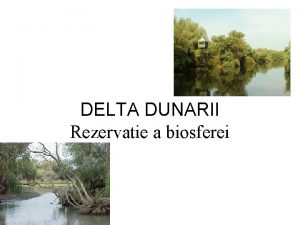 Delta dunarii rezervatie a biosferei