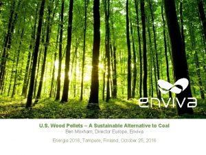 U S Wood Pellets A Sustainable Alternative to