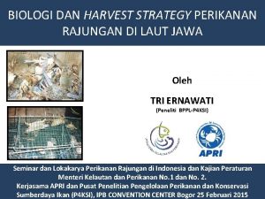 BIOLOGI DAN HARVEST STRATEGY PERIKANAN RAJUNGAN DI LAUT