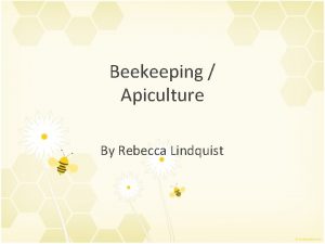 Beekeeping Apiculture By Rebecca Lindquist Outline Background History