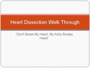 Heart Dissection Walk Through Dont Break My Heart