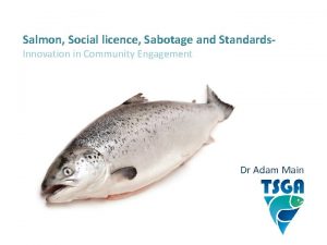 Salmon Social licence Sabotage and Standards Innovation in