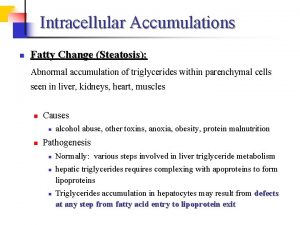 Intracellular Accumulations n Fatty Change Steatosis Abnormal accumulation