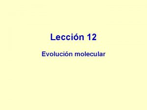 Leccin 12 Evolucin molecular LECCIN 12 1 Cambios
