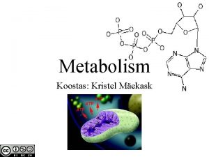 Metabolism Koostas Kristel Mekask Metabolism Organismides toimuvad snteesi