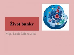 ivot bunky Mgr Lucia Mlzovsk Obsah 1 VOD