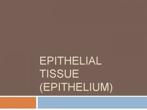 EPITHELIAL TISSUE EPITHELIUM Epithelial tissue Epithelium Lining covering