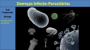 Doenas InfectoParasitrias Aula Programada Biologia Doenas infectoparasitrias Doenas