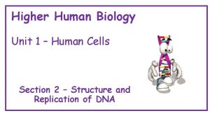 Higher Human Biology Unit 1 Human Cells Section