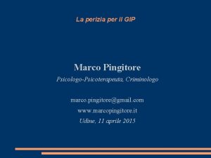 La perizia per il GIP Marco Pingitore PsicologoPsicoterapeuta