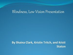 Blindness Low Vision Presentation By Shaina Clark Kristin