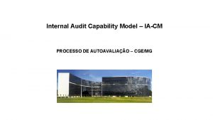 Internal audit capability model