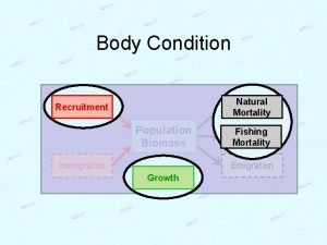 Body Condition Natural Mortality Recruitment Population Biomass Immigration