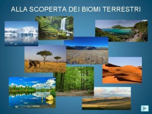 ALLA SCOPERTA DEI BIOMI TERRESTRI Walter Bonatti lultimo