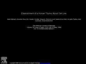 Establishment of a Human Thymic Myoid Cell Line