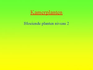 Kamerplanten Bloeiende planten niveau 2 Bloeiende planten niveau