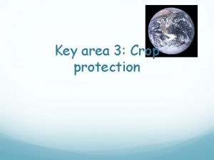 Key area 3 Crop protection Weeds pests and