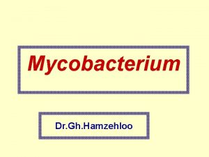 Mycobacterium Dr Gh Hamzehloo Important Human Pathogens Mycobacterium