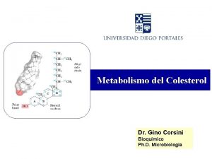 Metabolismo del Colesterol Dr Gino Corsini Bioqumico Ph