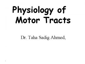 Physiology of Motor Tracts Dr Taha Sadig Ahmed