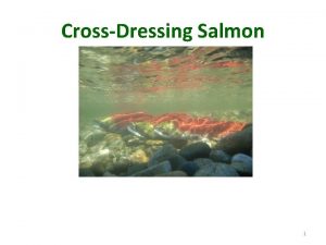 CrossDressing Salmon 1 CQ1 Which statement best describes