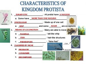 EUKARYOTIC A NUCLEUS 1 All protist have MORE