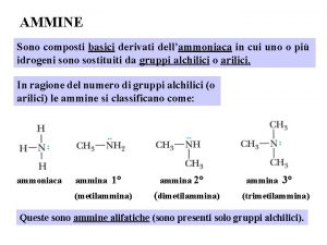 Composti basici