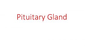 Pituitary Gland Pituitary gland is connected to the