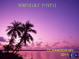 MORFOLOGI PANTAI OCEANOGRAFI 2011 DEFENISI PANTAI SHORE Merupakan