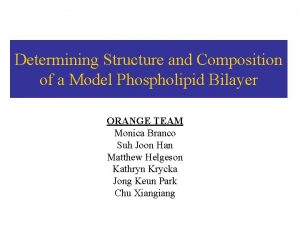 Determining Structure and Composition of a Model Phospholipid