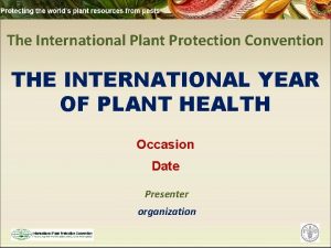 The International Plant Protection Convention THE INTERNATIONAL YEAR