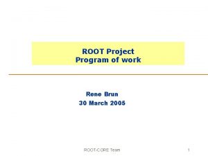 ROOT Project Program of work Rene Brun 30