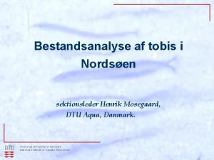 Bestandsanalyse af tobis i Nordsen sektionsleder Henrik Mosegaard