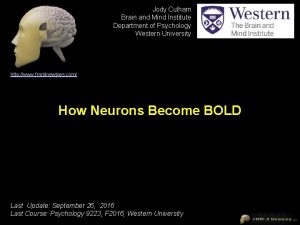 Jody Culham Brain and Mind Institute Department of