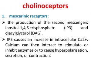 Muscarinic vs nicotinic Muscarinic vs nicotinic