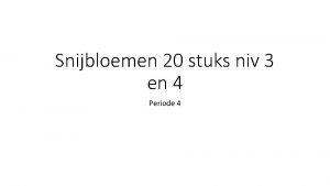 Snijbloemen 20 stuks niv 3 en 4 Periode