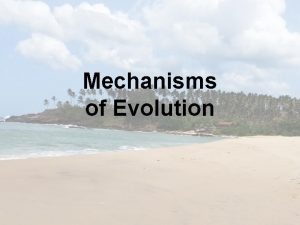 Mechanisms of Evolution Mechanisms of Evolution There are