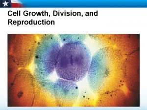 Cell Growth Division and Reproduction Limits to Cell