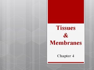 Tissues Membranes Chapter 4 v Cells Tissues Page