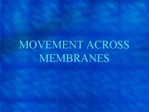 MOVEMENT ACROSS MEMBRANES Role of plasma membrane Maintains